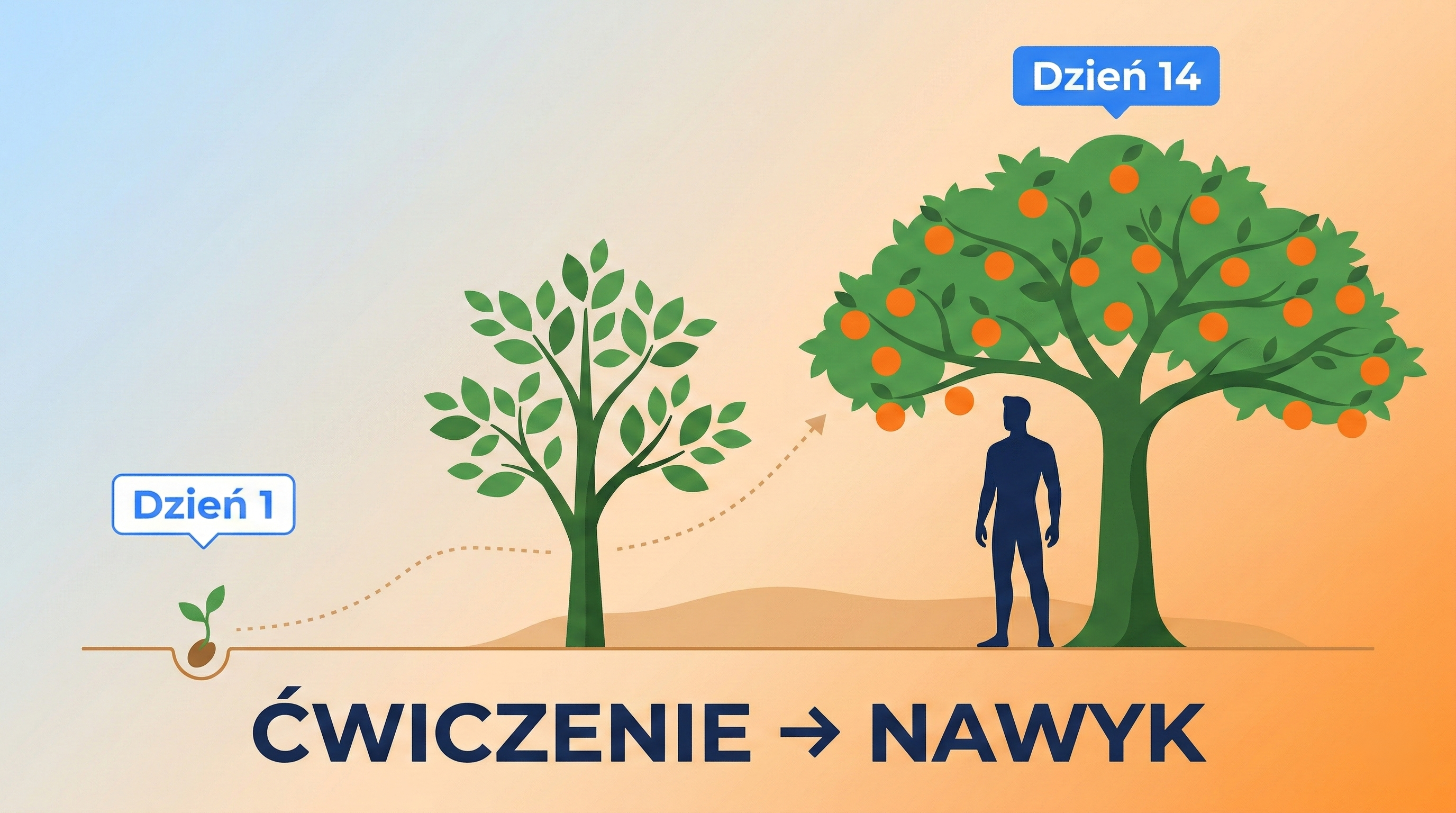 Ilustracja transformacji – od sadzonki do drzewa z owocami symbolizująca budowanie nawyku uwodzenia
